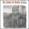 Ry Cooder